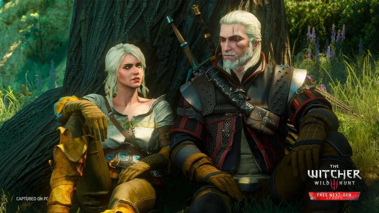 The Witcher 3: Wild Hunt 2